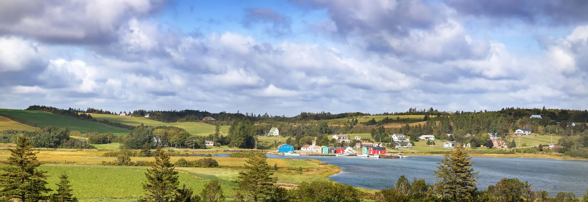 Coastal rural landscape with colorful buildings near water, green fields, forests