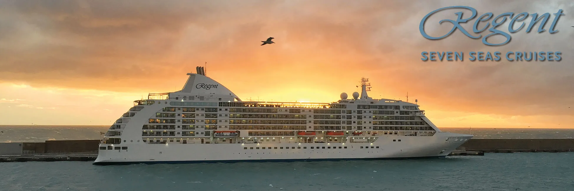 Regent Seven Seas cruise ship at sunset with bird flying overhead