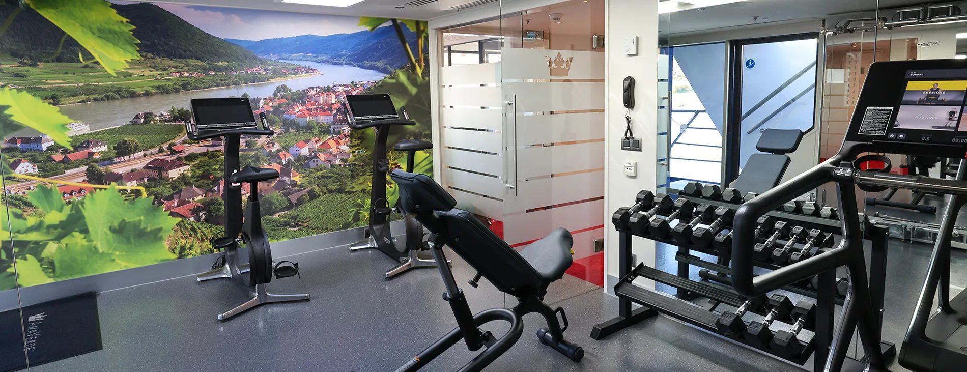 Modern gym with scenic riverside landscape wall mural and exercise equipment