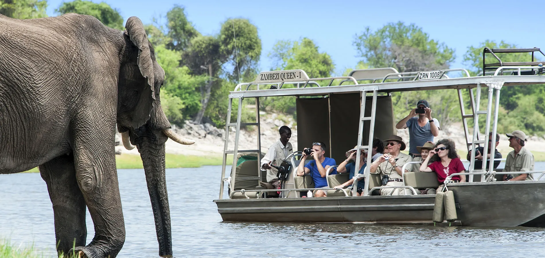 Elephant standing near boat with tourists on Zambezi River safari