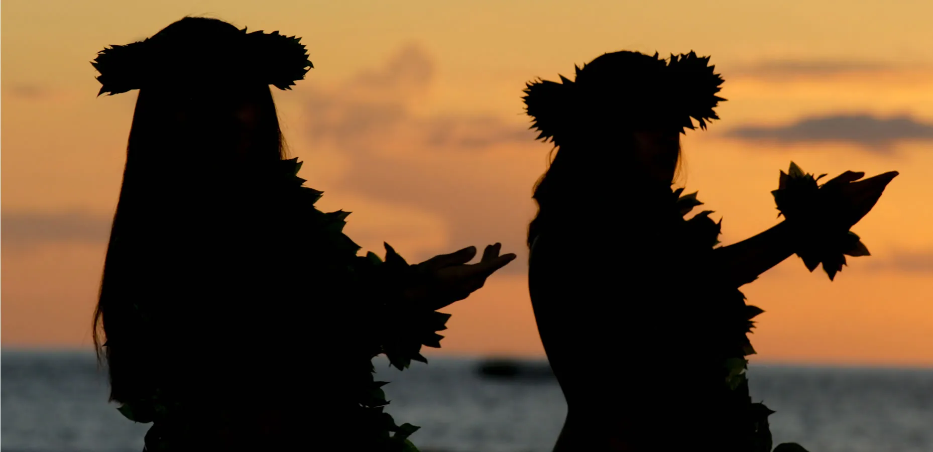 Silhouettes of two figures against sunset sky near ocean horizon