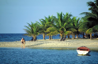 Tropical beach with palm trees, white sand, blue water, and small boat