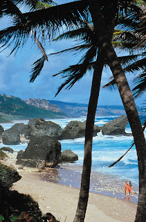Tropical beach with palm trees, rocky shore, and two people walking