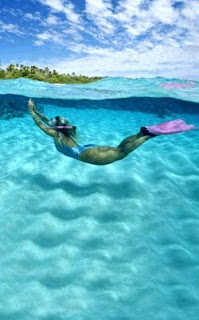 Snorkeler diving in crystal-clear turquoise waters near tropical palm-lined beach