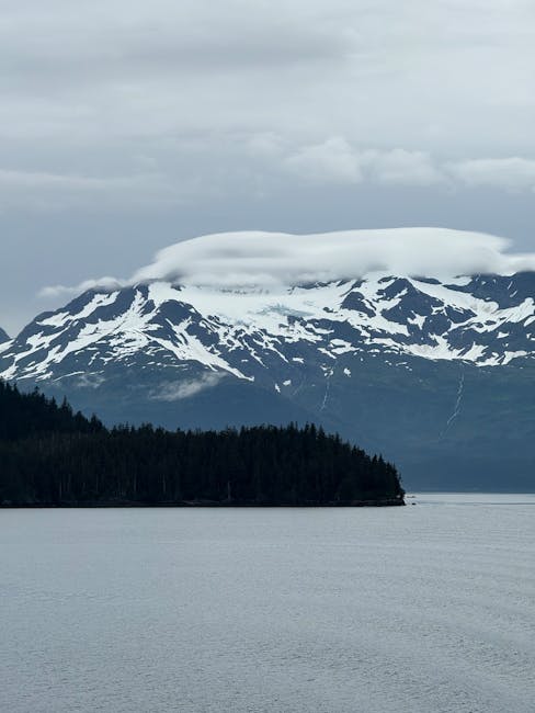 American Cruise Lines