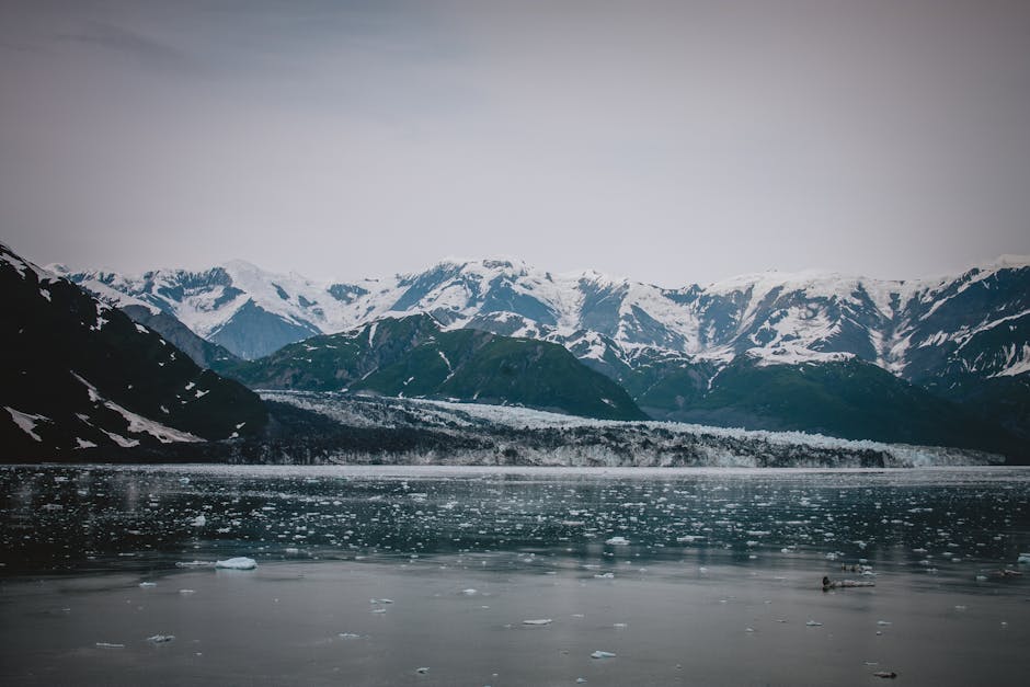 Snow-capped mountains and icy waters create a serene scene in the Alaskan wilderness.