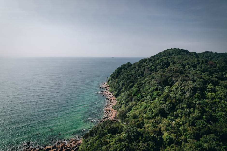 An aerial view showcasing lush green hills meeting the serene ocean shore.