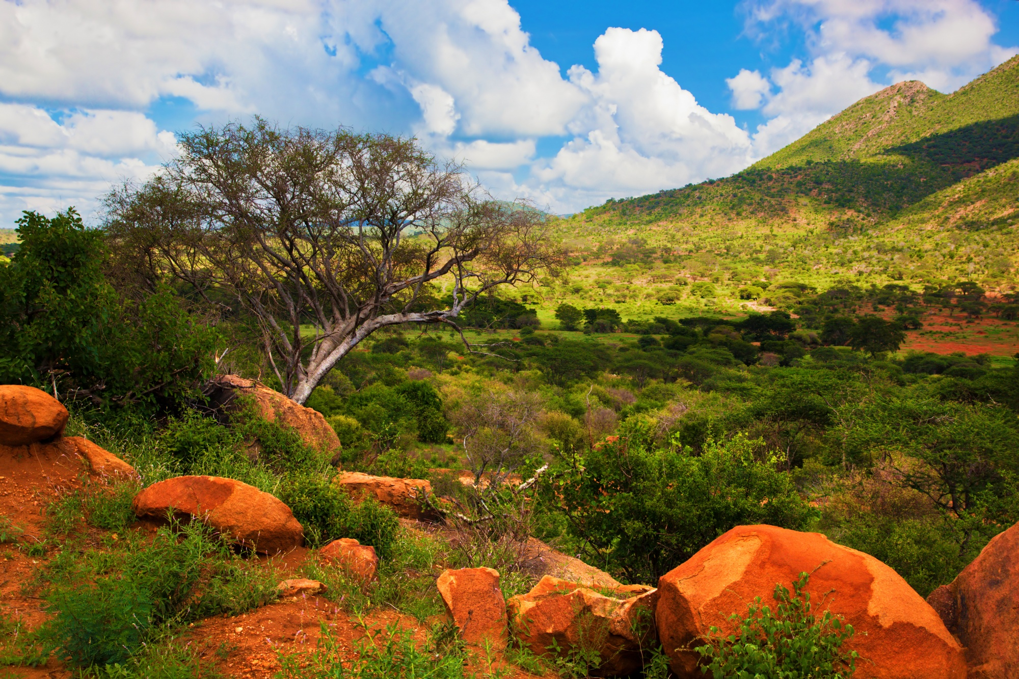 Scenic Luxury Cruises & Tours