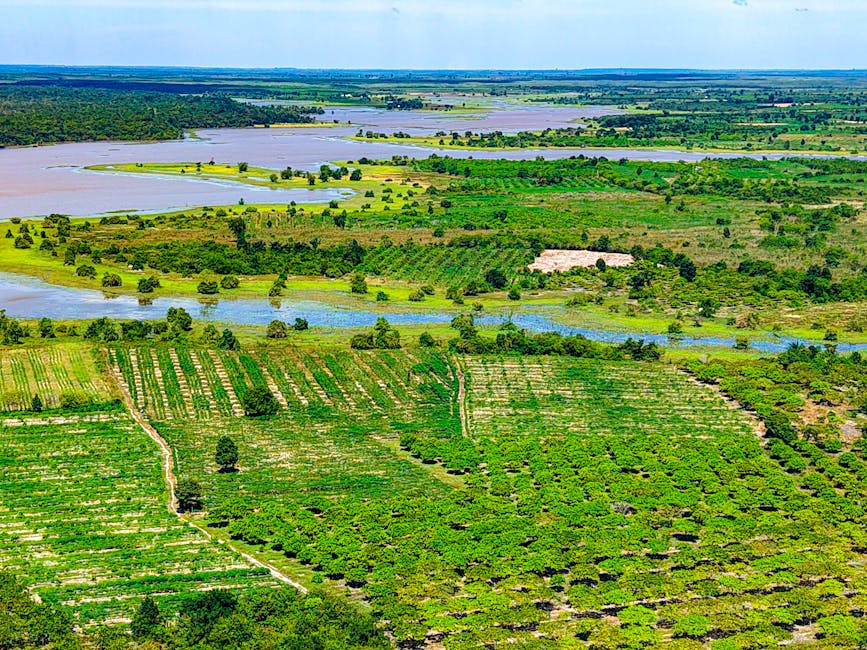 Stunning aerial shot of lush Cambodian farmland and river, showcasing vibrant greenery.