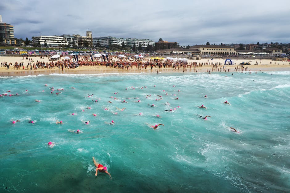 Aerial view of a swimming competition at Bondi Beach with crowds and blue ocean.
