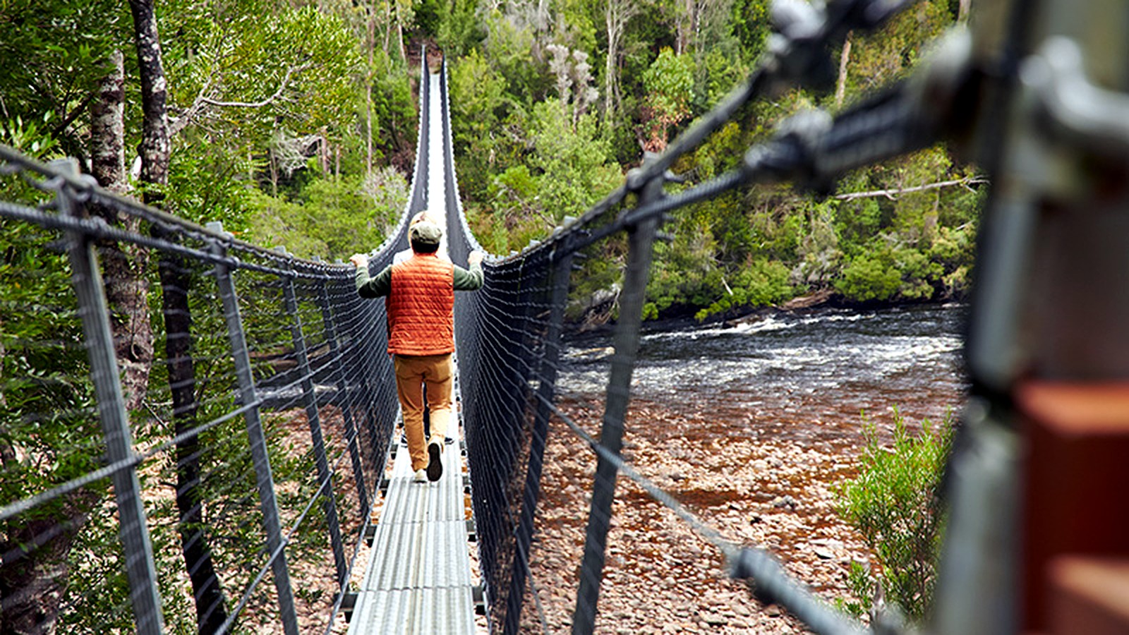 Tahune Forest in Hobart, Tasmania Rights: Princess Owned Use/Licensing: Unrestricted