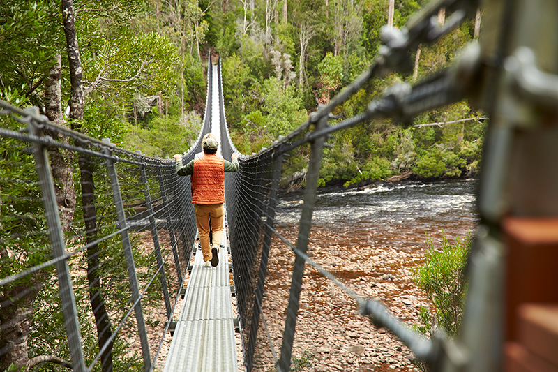 Tahune Forest in Hobart, Tasmania Rights: Princess Owned Use/Licensing: Unrestricted