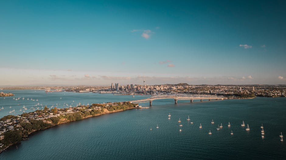 Aerial view of Auckland's skyline and Harbor Bridge stretching over calm harbour waters, establishing the city's waterfront setting for arriving cruise ships.