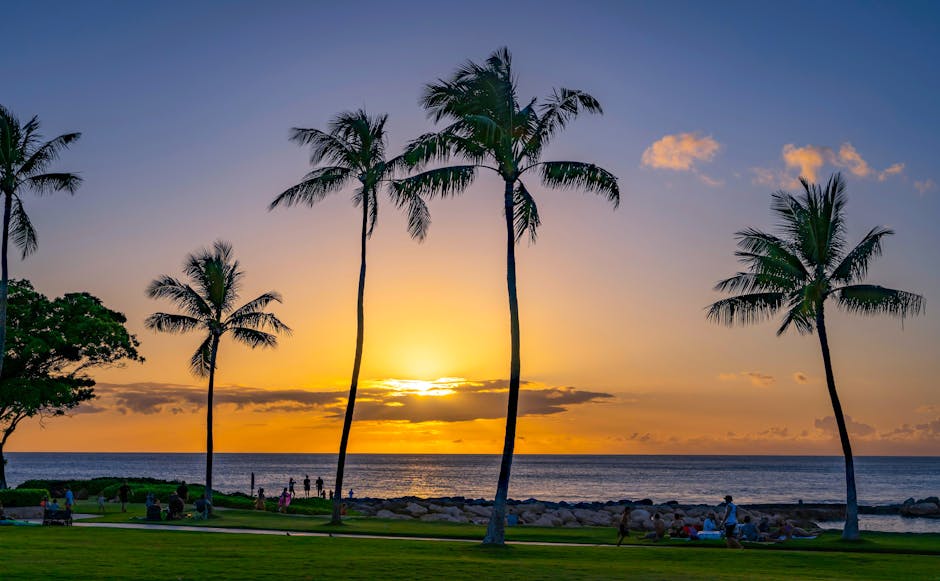 Serene Hawaiian sunset with palm trees silhouetted against the ocean view.