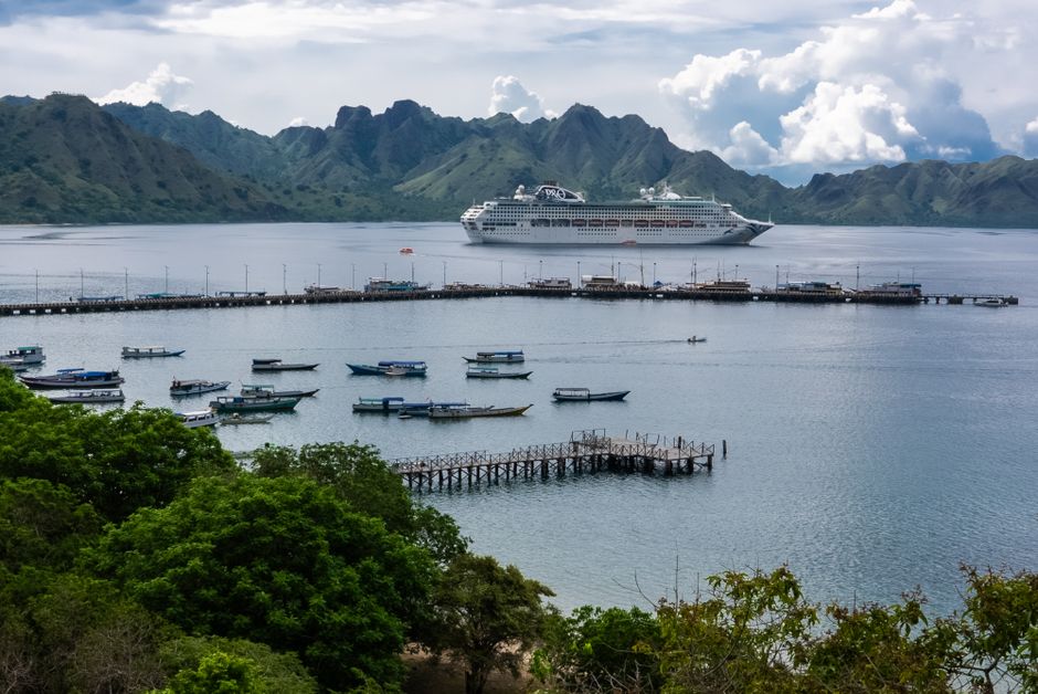 A cruise ship anchored in a scenic bay surrounded by lush green mountainous coastline, evoking the verdant island landscapes encountered on Asia Pacific cruise routes departing from Yokohama.