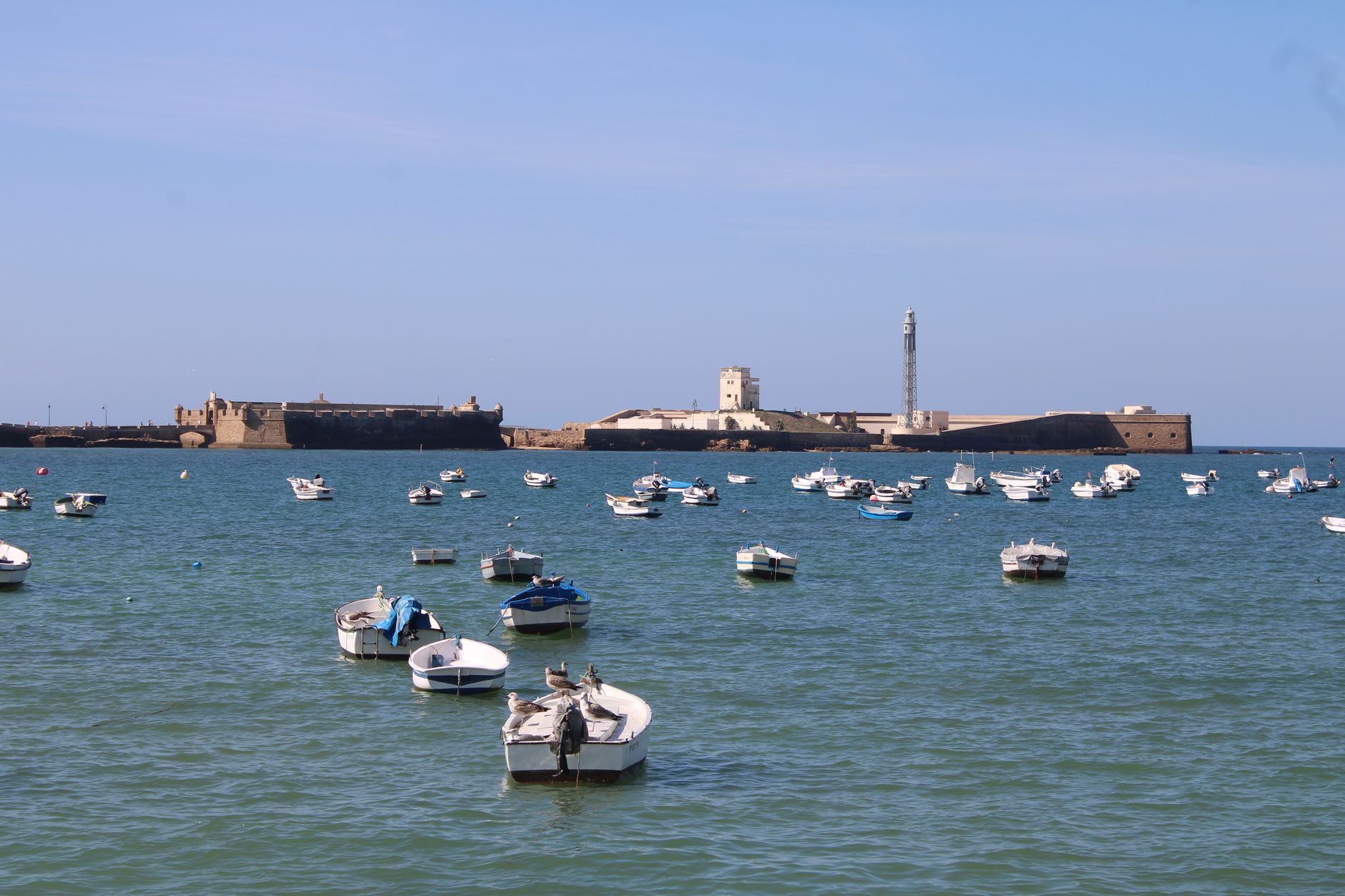 Boats moored along the Cádiz coastline with the city's historic architecture rising from the waterfront, viewed from the harbor