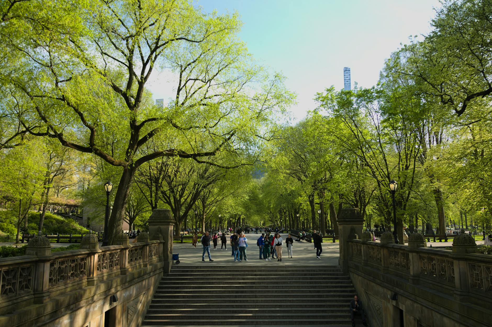A tree-lined landscaped walkway with visitors strolling through a sunlit park setting, evoking the open-air Central Park neighbourhood found aboard Royal Caribbean's Oasis-class cruise ships.