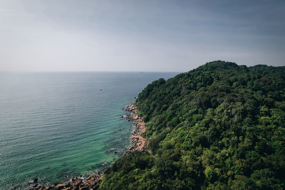 An aerial view showcasing lush green hills meeting the serene ocean shore.