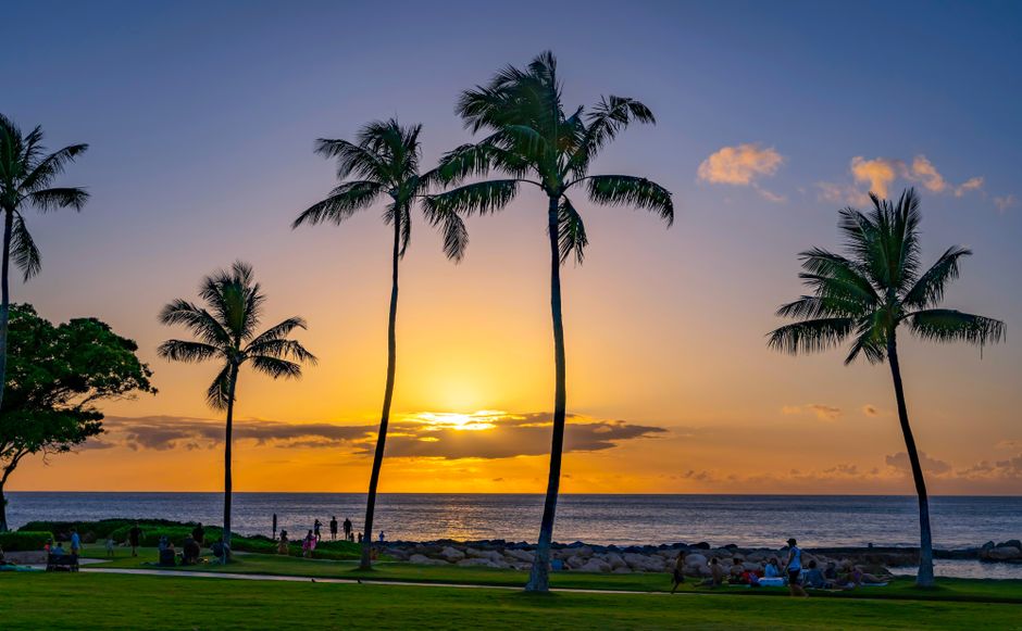 Serene Hawaiian sunset with palm trees silhouetted against the ocean view.