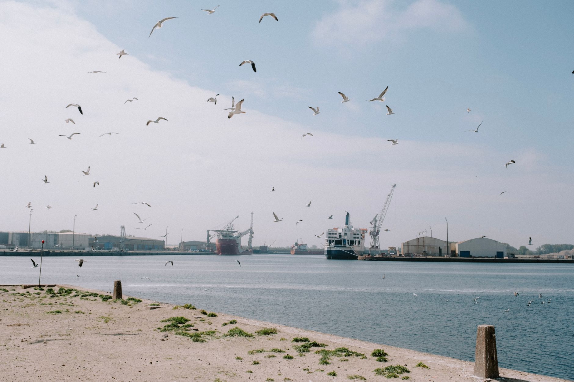 Seagulls soaring over Southampton's coastal harbor with ships and port cranes, capturing the bustling European arrival point for transatlantic crossings from New York City.