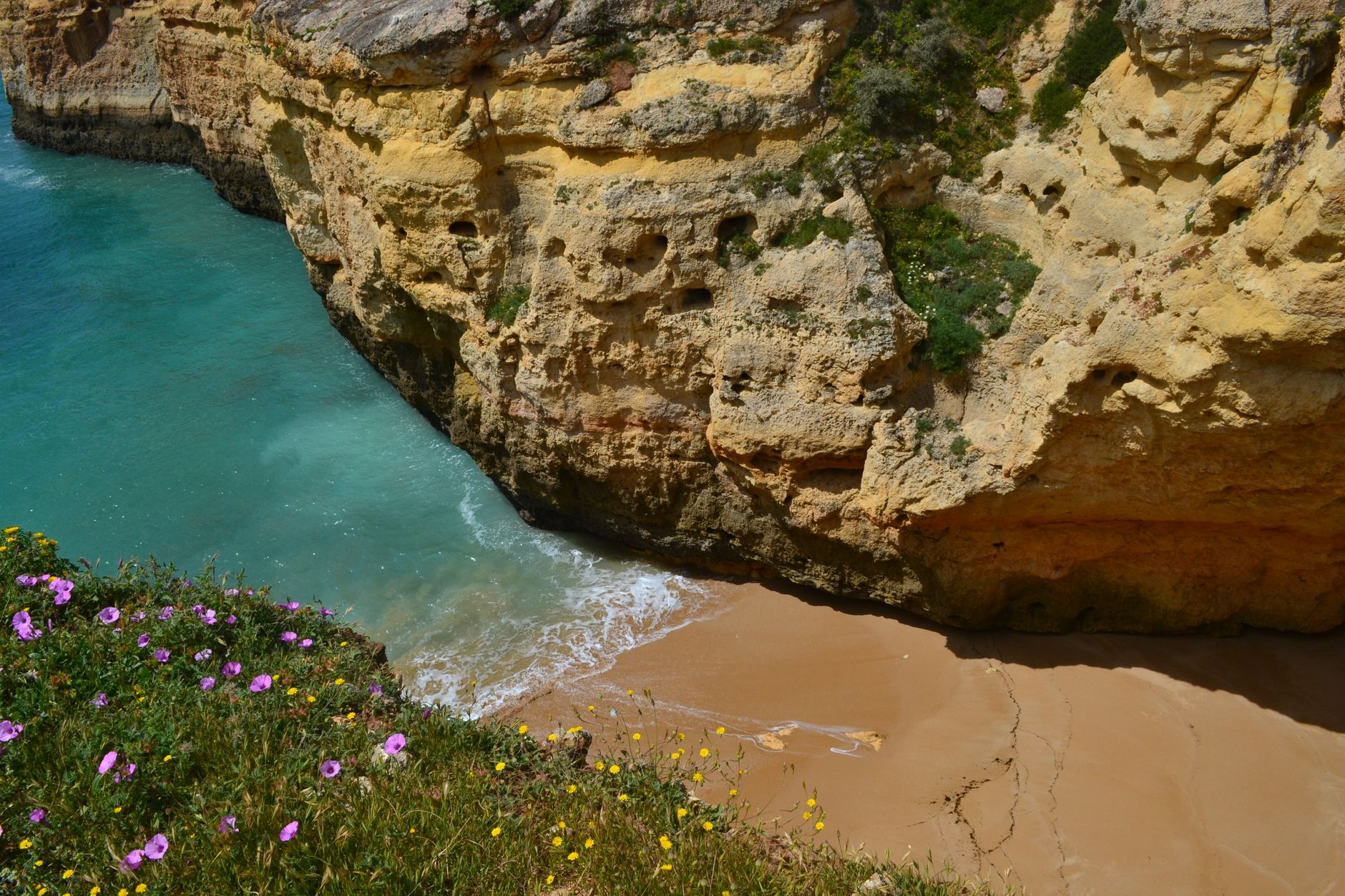 Spring wildflowers frame golden sandstone cliffs and an uncrowded beach along the Algarve coast — the kind of shoulder-season serenity cruisers find before summer crowds arrive.