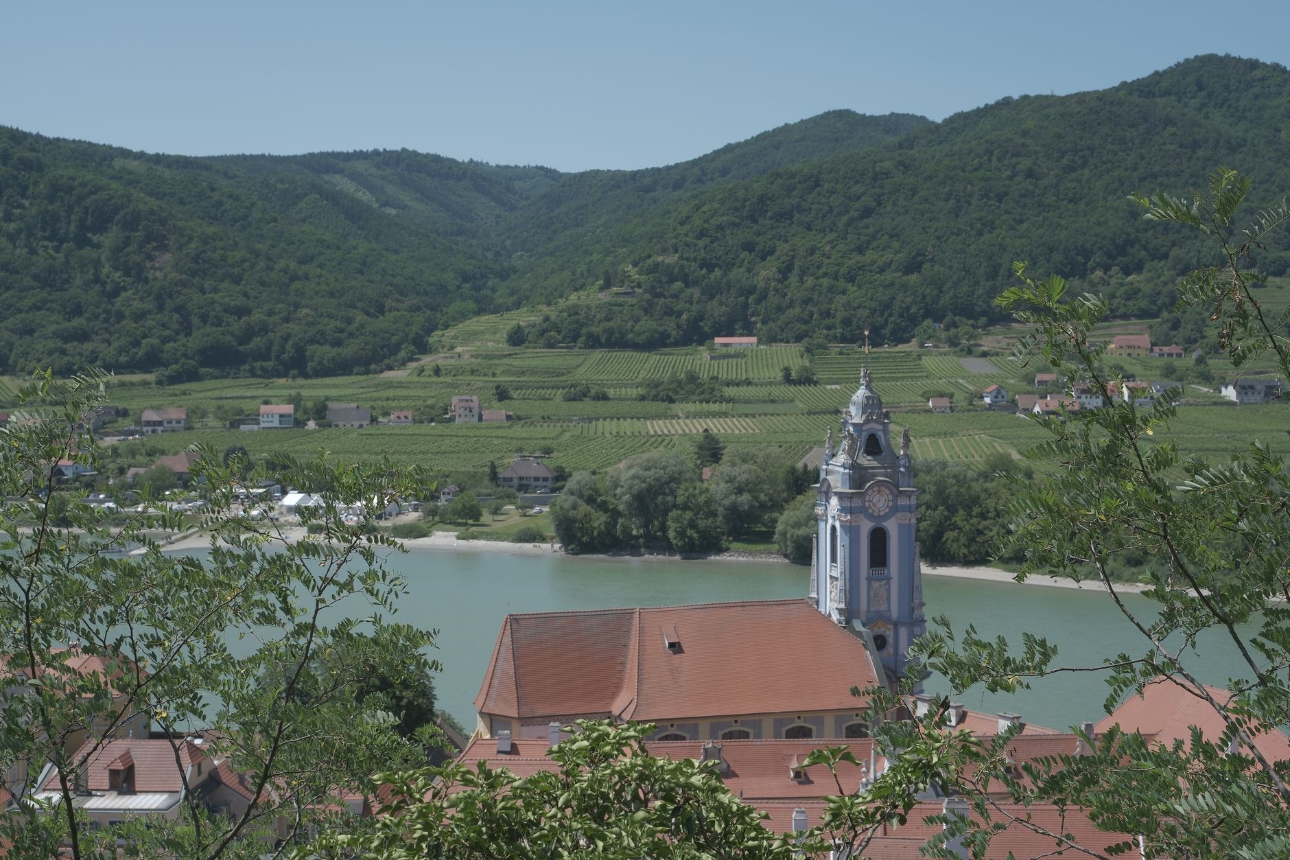 The Wachau Valley along the Danube River, with Dürnstein Church rising above terraced vineyards that slope down to the waterway — a quintessential scene along popular river cruise itineraries through Austria's wine country.