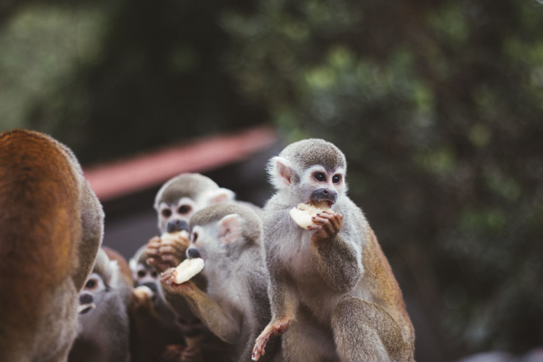 Travellers who want Colombia without backpacker logistics