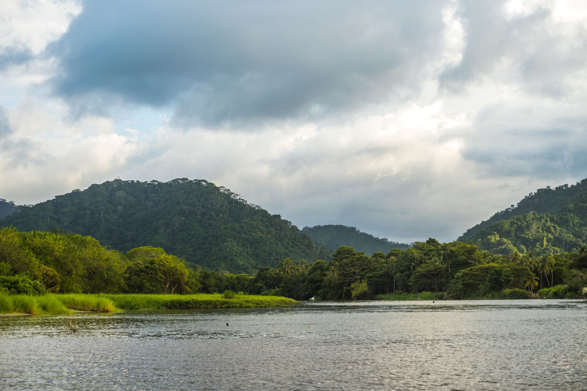 Lush tropical greenery along serene waters in Colombia's Magdalena region, evoking the river landscapes cruise passengers experience departing from Barranquilla.