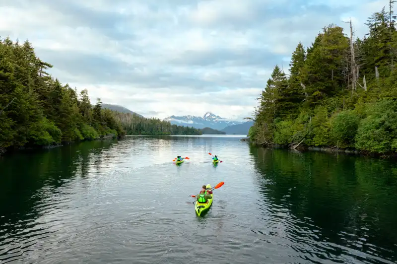Kayakers paddle on a calm inlet surrounded by dense evergreen forest and snow-capped mountains in the distance. This is an Alaskan wilderness excursion with multiple kayakers in bright life vests exploring pristine coastal waters.