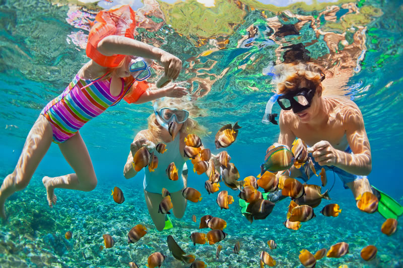 Snorkelers swimming with colorful fish in vibrant turquoise underwater seascape