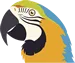 South America
