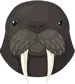 Galapagos
