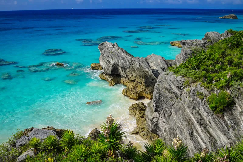 Bermuda Cruises