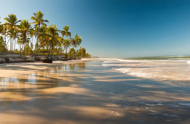 Caribbean Cruises