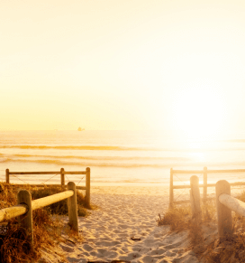 Stimmungsvolles Bild von einem Pfad zum Strand und der tief stehenden Sonne, die alles intensiv orange ausleuchtet.