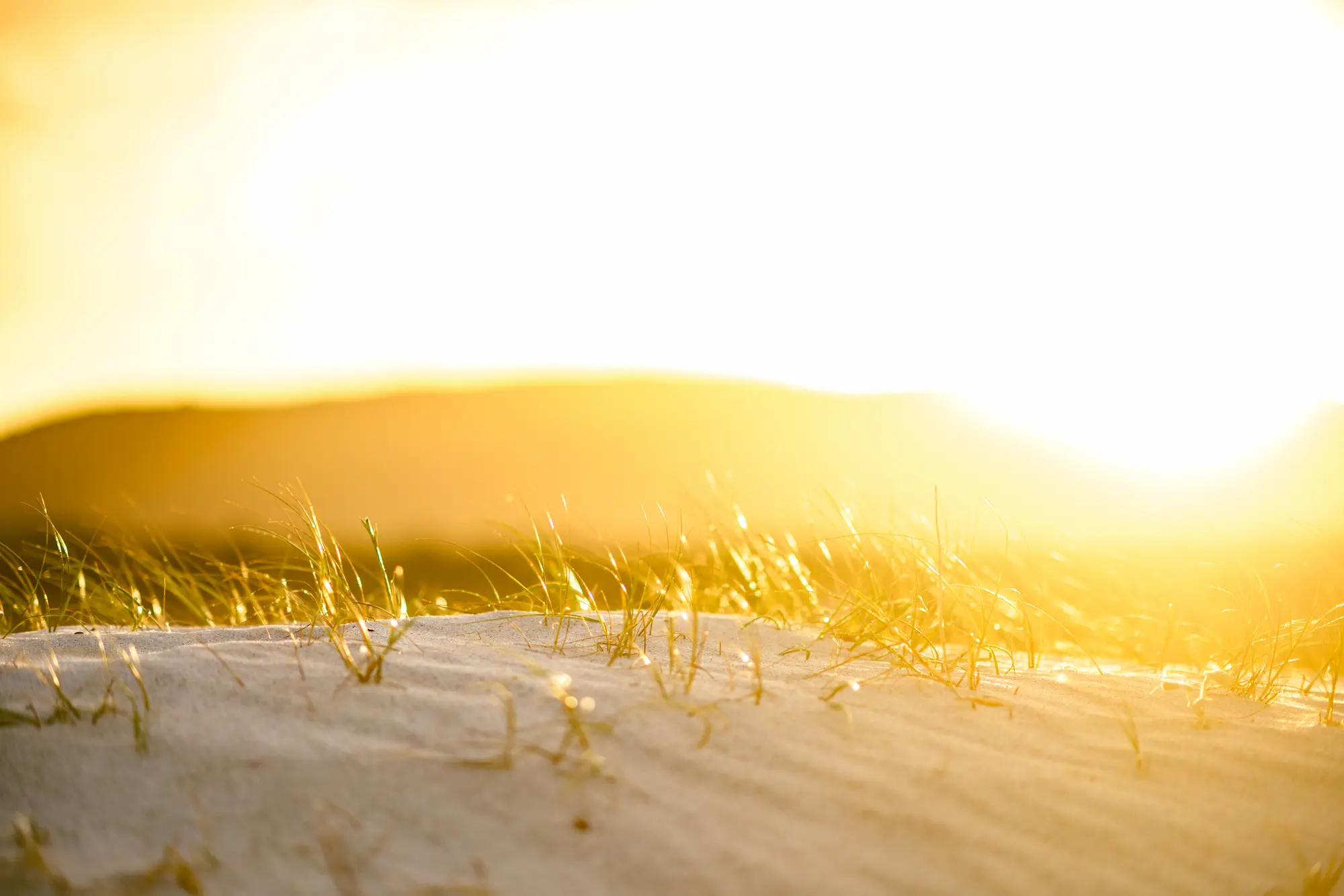 Sonnenuntergang am Sandstrand.