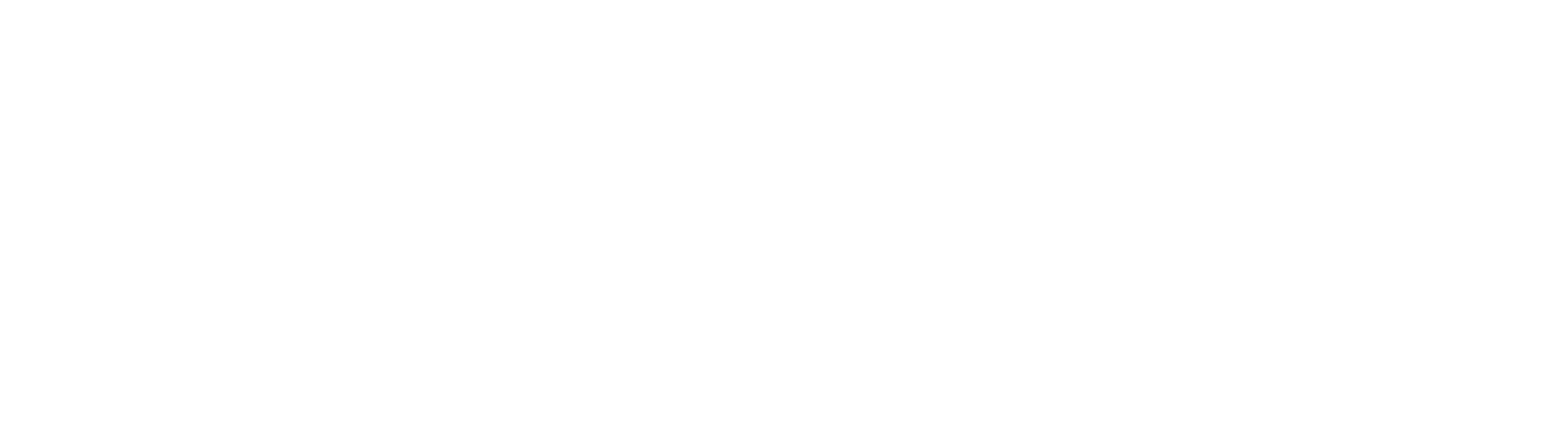Tenco Solar Logo White
