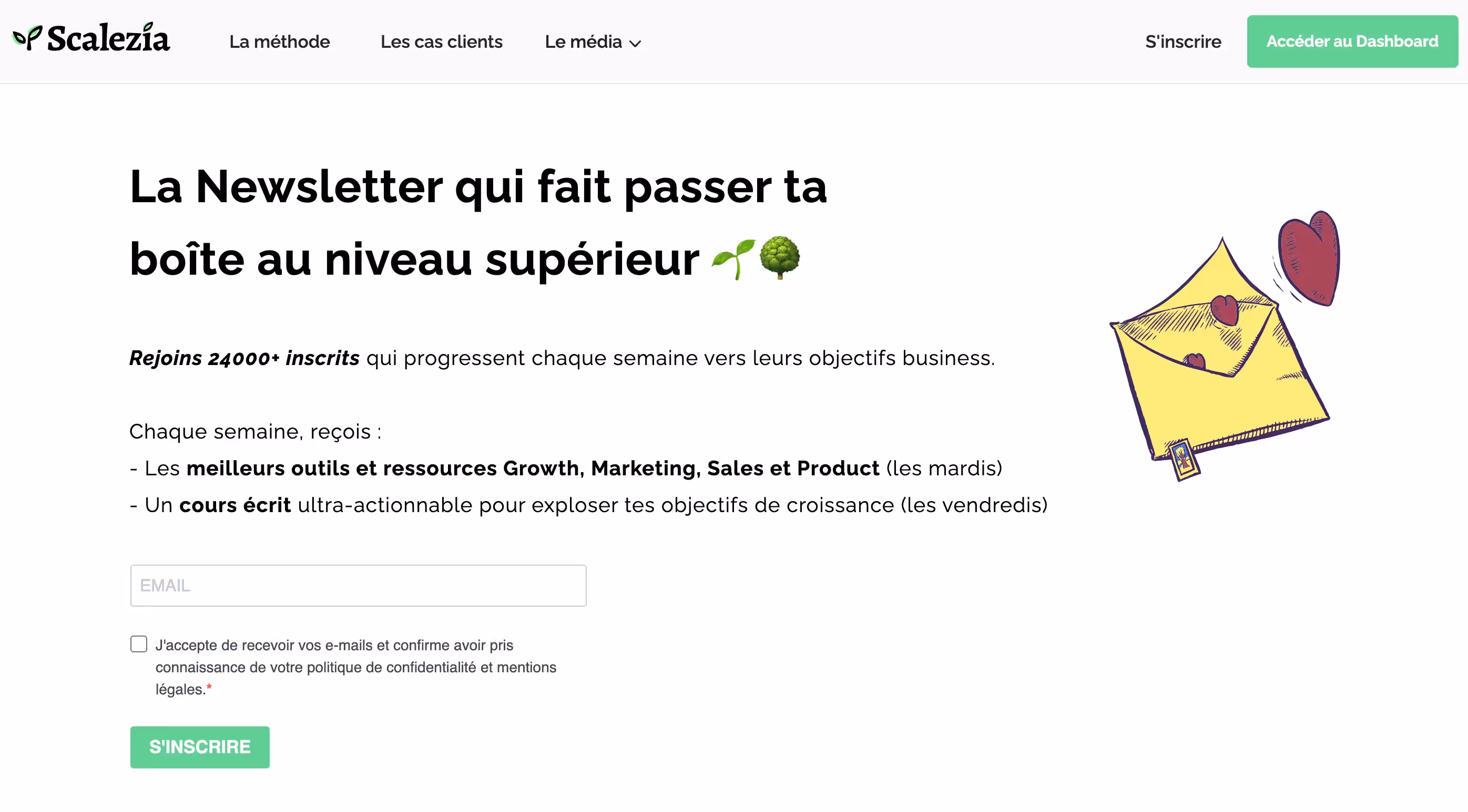 landing page inscription newsletter scalezia