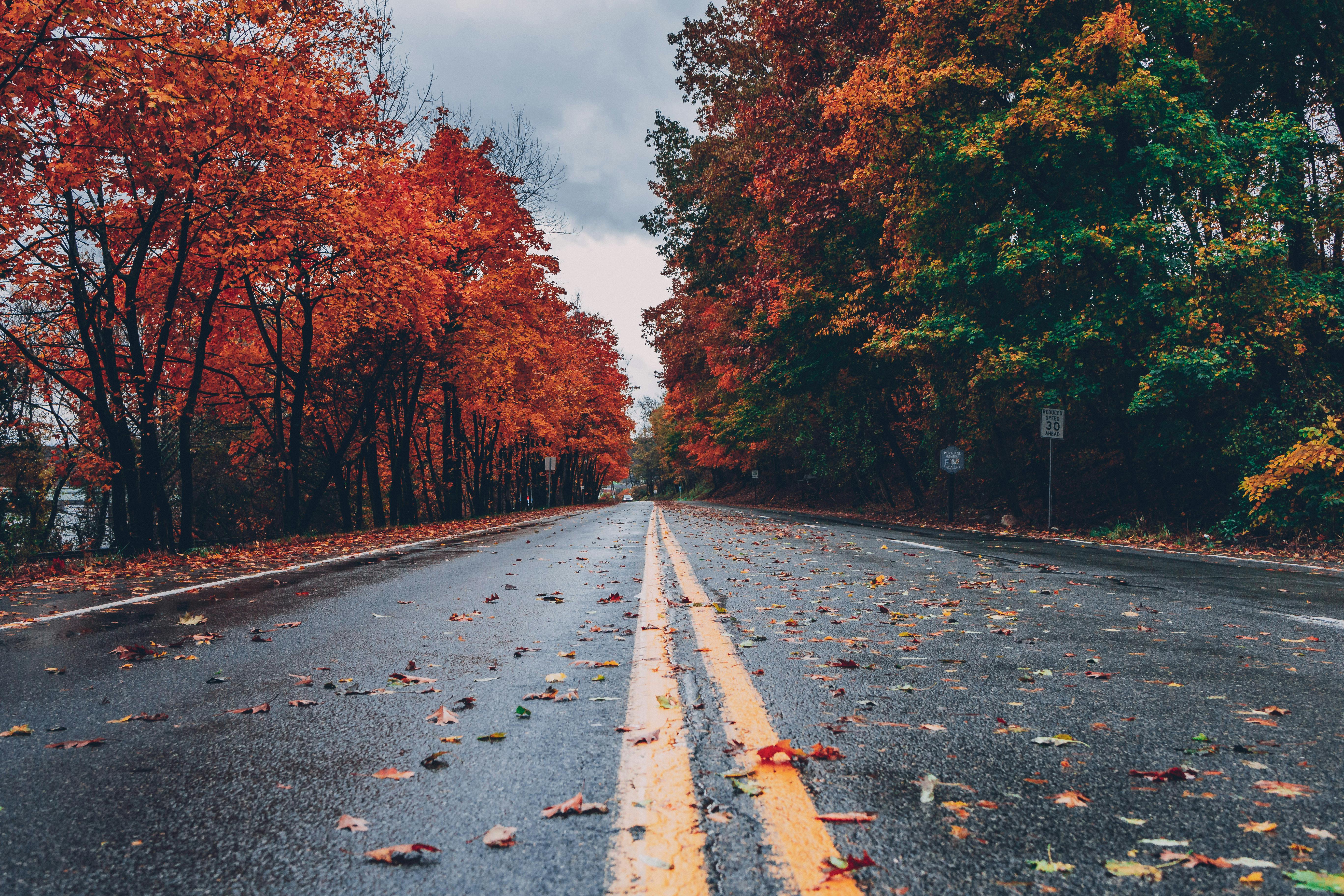 Pavement Photos, Download The BEST Free Pavement Stock Photos & HD Images