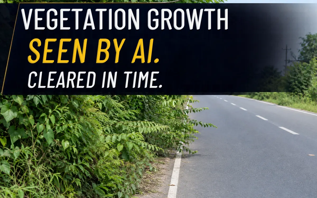 Roadside Vegetation - Detection, Assessment & Safety