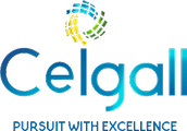 Ceigall India logo