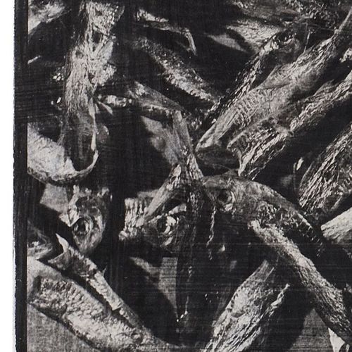 Thomas Nitz – Inzwischen, Exhibition Cover, Berlin 2024