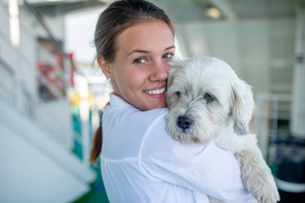 How To Get Free Pet Insurance