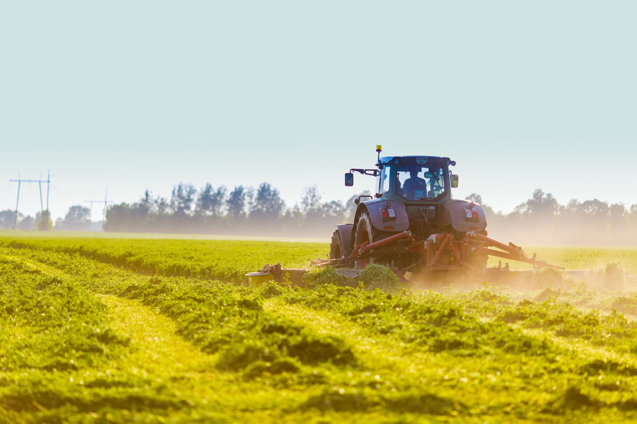 Agriculture
