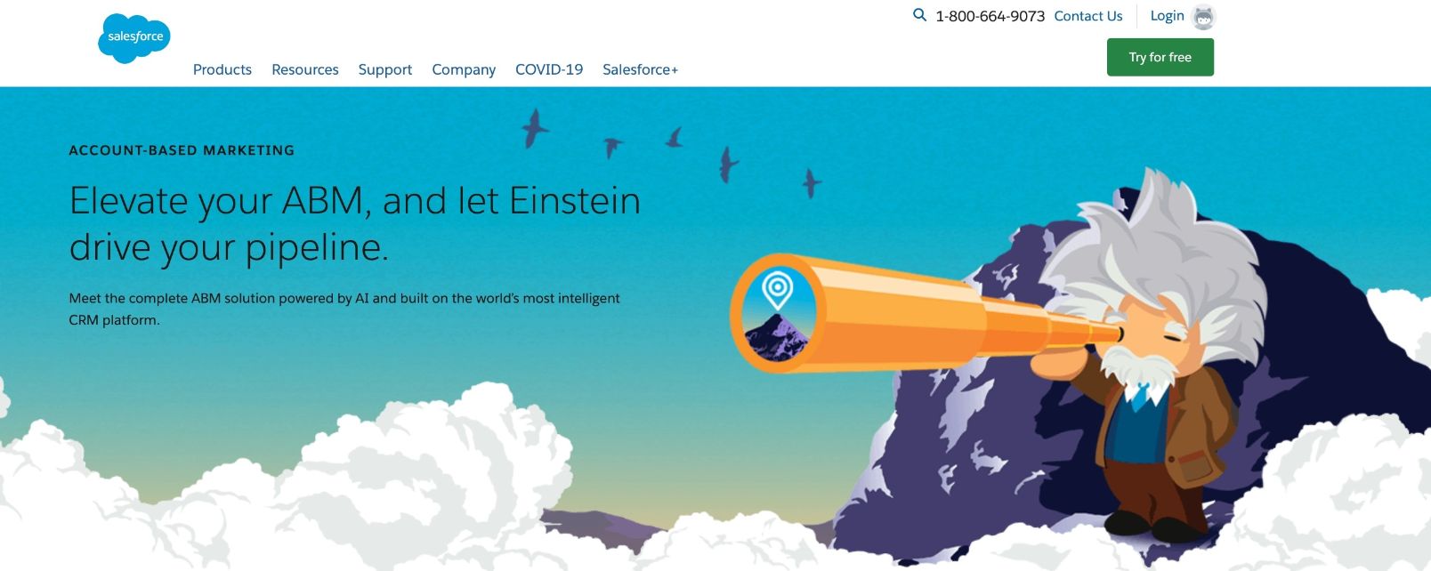 salesforce account-based marketing