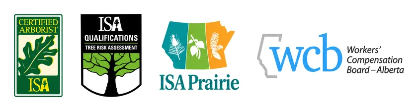 ISA Certified Arborist, ISA Tree Risk Assessment Qualified, ISA Prairie Chapter member and WCB Alberta covered