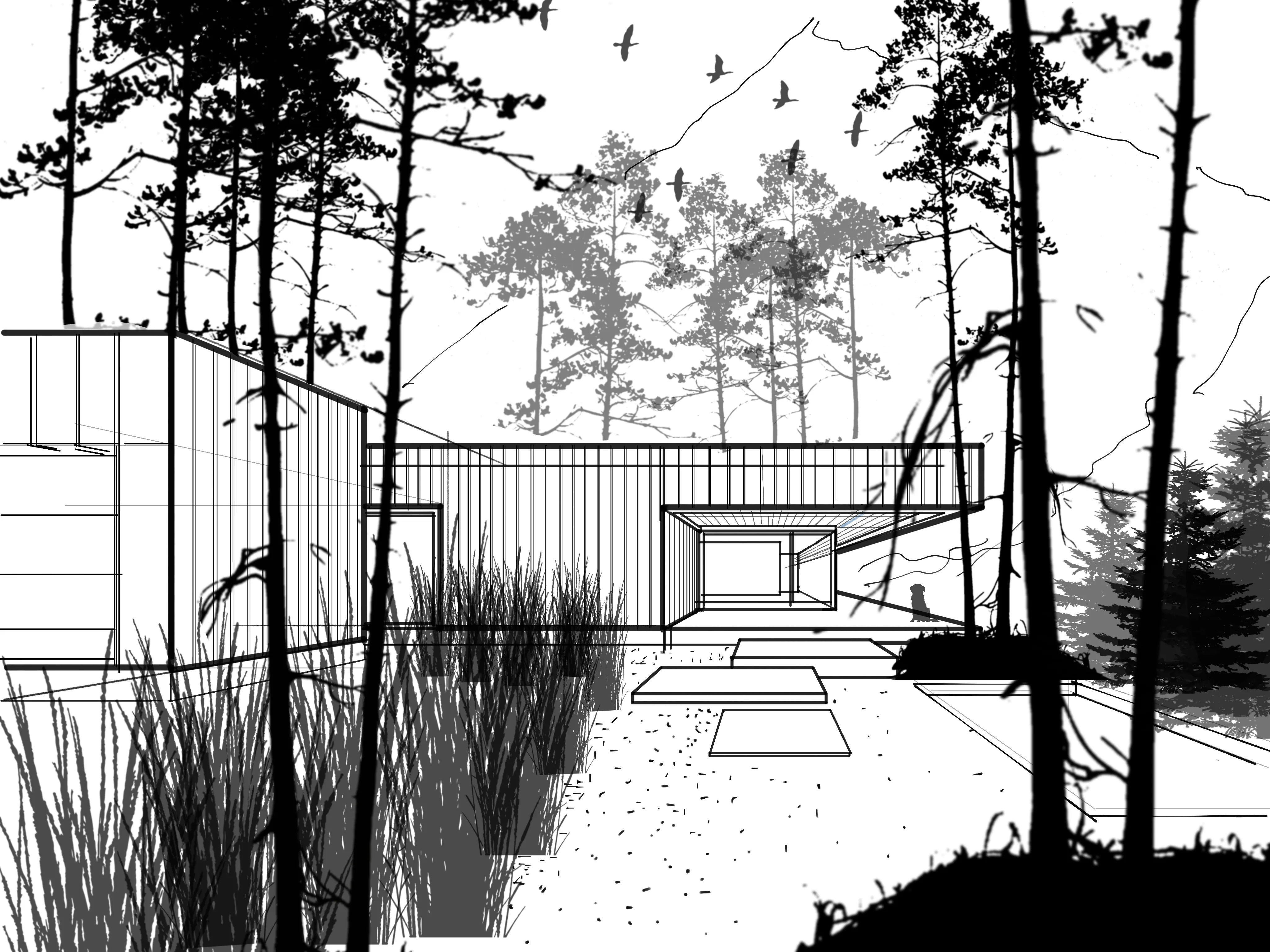 Concept sketch of a house by Tomasz Wuczynski 