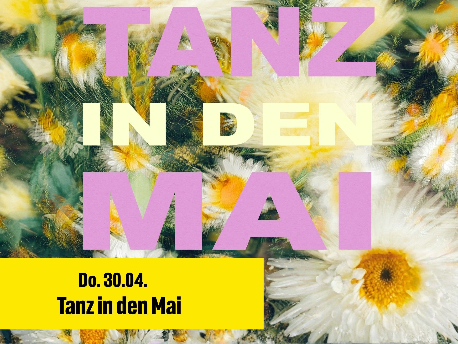 Bild mit Gänseblümchen und Schriftzug: Tanz in den Mai am 30.4.