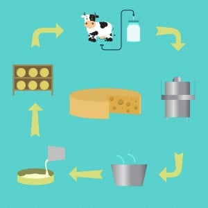Why is Dairy Processing Equipment Skyrocketing in Popularity?