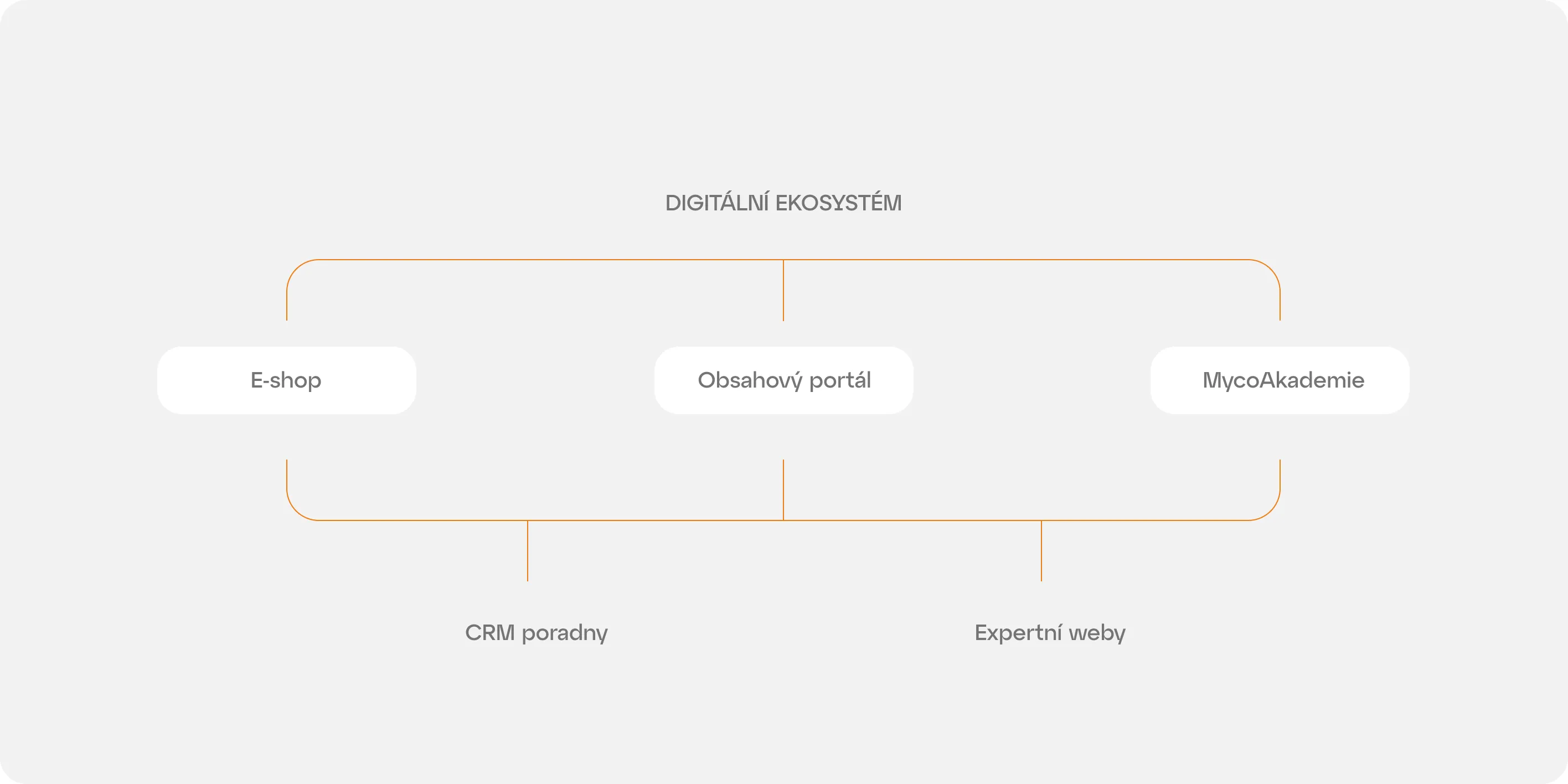 Schéma digitálního ekosystému s E-shopem, obsahovým portálem, MycoAkademií, CRM poradnou a expertními weby.